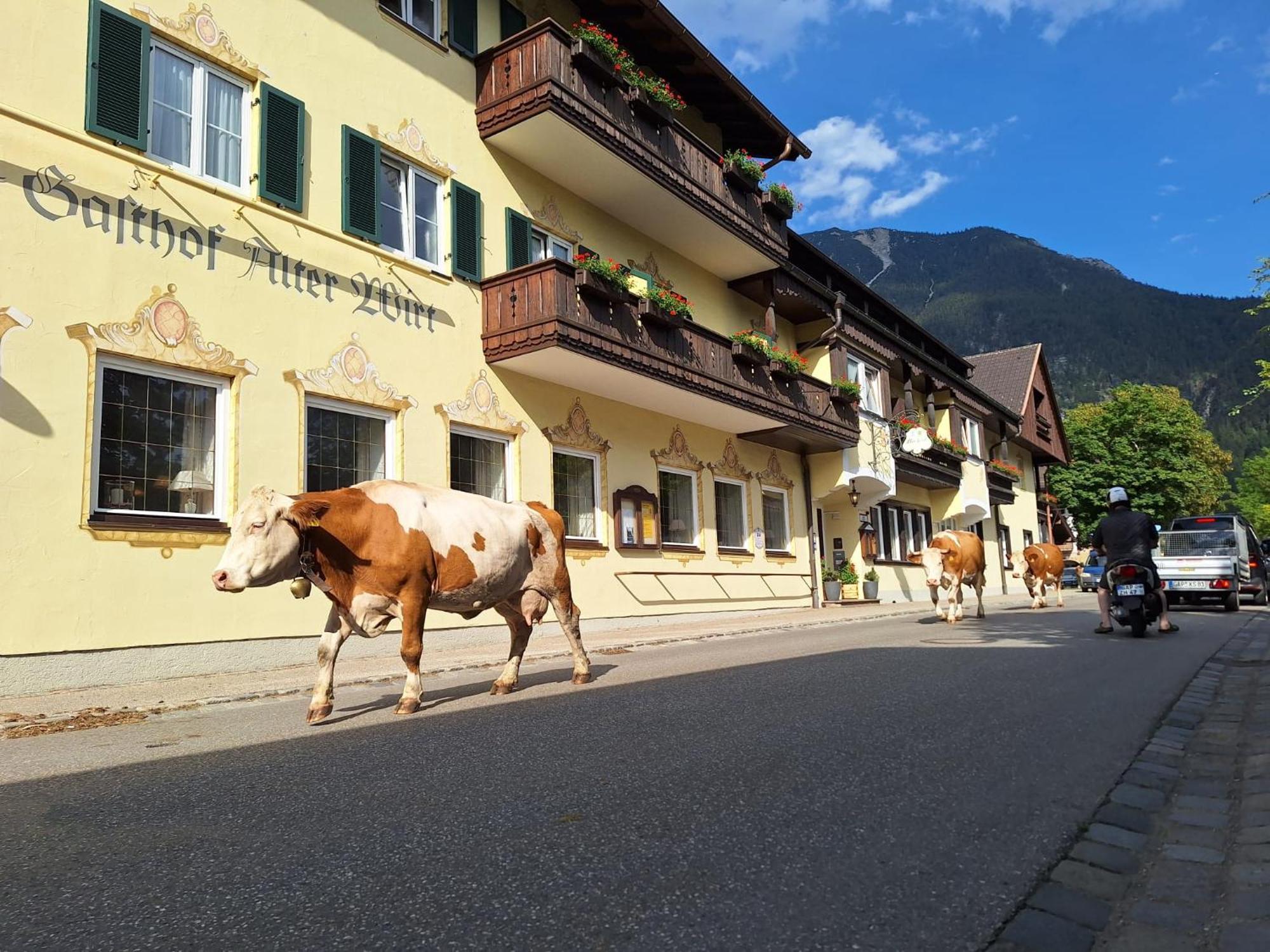 Hotel Gasthof Alter Wirt Farchant Zewnętrze zdjęcie